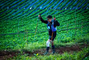 BIB: 
                            <button type="button" onclick="openModal(19160147)" class="btn btn-primary btn-sm float-right btn-popup" data-toggle="modal" data-target=".modal-high-quality">
                        <i class="fas fa-shopping-cart"></i> Add to Cart
                    </button>
                                            <button type="button" onclick="isThisMe(19160147, true)" class="btn btn-success btn-sm float-right btn-popup btn-isme hidden" data-toggle="tooltip" data-placement="bottom" title="นี่คือรูปของคุณใช่ไหม คลิกที่นี่เพื่อเอาเข้าอัลบั้ม">
                        <i class="fas fa-plus"></i> Add to album
                    </button>
                    <button type="button" onclick="isThisMe(19160147, false)" class="btn btn-warning btn-sm float-right btn-popup btn-isnotme hidden">
                        <i class="fas fa-ban"></i> Remove from album
                    </button>